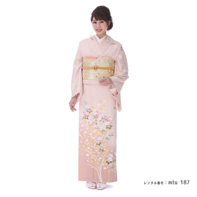 訪問着商品画像