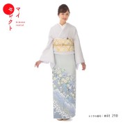 色留袖商品画像