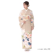 訪問着商品画像