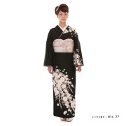 訪問着商品画像