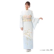 訪問着商品画像