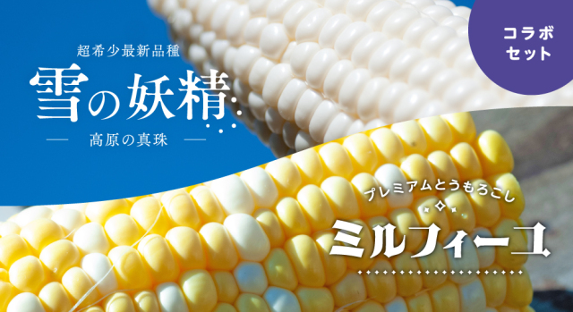 【陛下献上の品】トミーファームが贈るこの夏、最強のとうもろこしセット！「高原の真珠」「ミルフィーユ」20本入り送料込　７月下旬より出荷開始