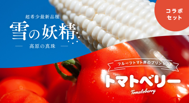 ◆限定1個◆高品質 玉石彫刻 とうもろこし　コレクション 送料無料　本物保証 とうもろこし ホワイトコーン 高原の真珠 トマトベリー トミーファーム