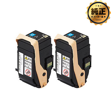 FUJIFILMgi[J[gbW VAiCj2{Zbg CT202464 