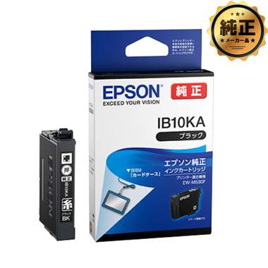 【取寄せ】EPSON インクカートリッジ ブラック IB10KA 純正