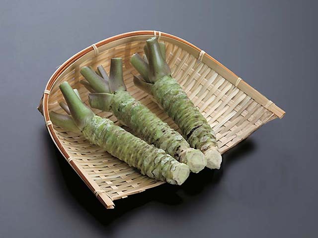 本日限り特価！岩手県産 天然葉わさび苗 100本 根付き 本日限り