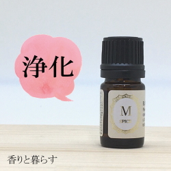 クローブ バッド　5ml 　アロマ　アロマオイル　エッセンシャルオイル　精油