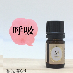 スコッチパイン　野生種 5ml 　アロマ　アロマオイル　エッセンシャルオイル　精油