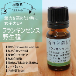 フランキンセンス アロマオイル エッセンシャルオイル 精油