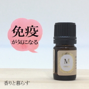 【木のセール10%OFF】 ラベンサラ (正確にはラヴィンサラ)5ml 野生種 　アロマ　アロマオイル　エッセンシャルオイル　精油