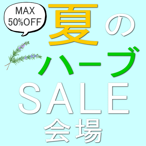 初心者も安心のアロマテラピー専門店