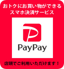 貴重 良品 ニュートン プロライン　パター　ピン　ブレード形 廃盤 ニュートンプロラインパター ブレード型 ピン型 TP-2017