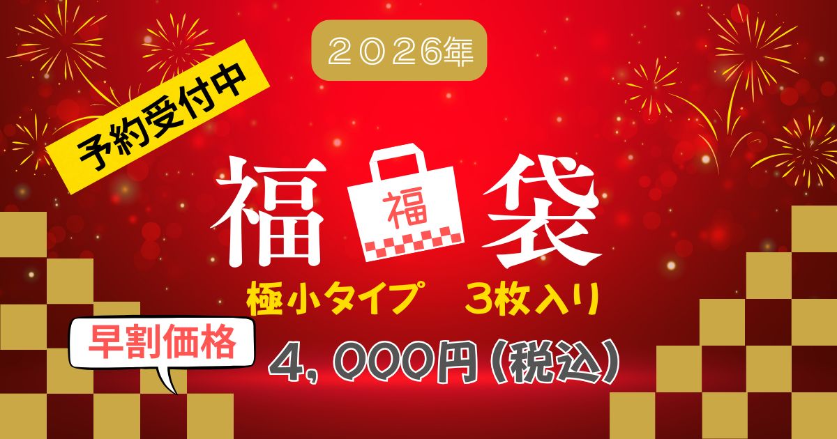 【早割予約受付中】2026トップモードジャパン極小下着メンズ福袋【3枚入り送料込】