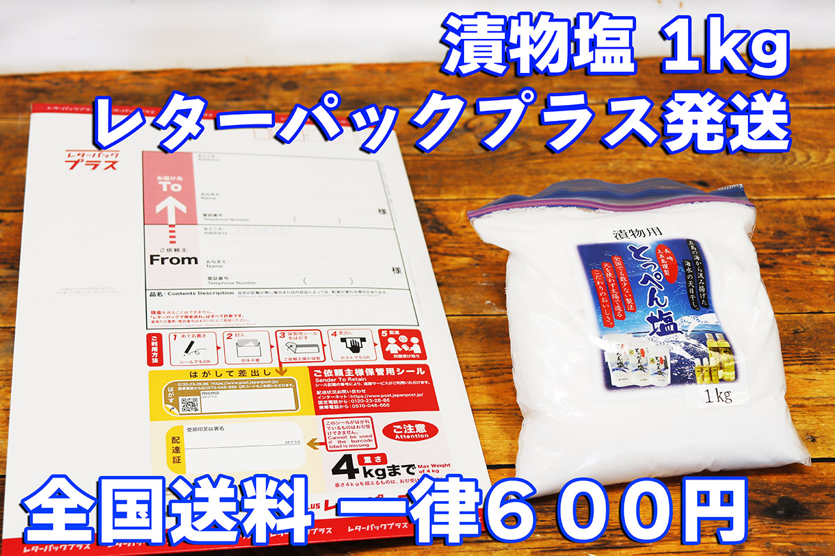 送料600円 漬物塩