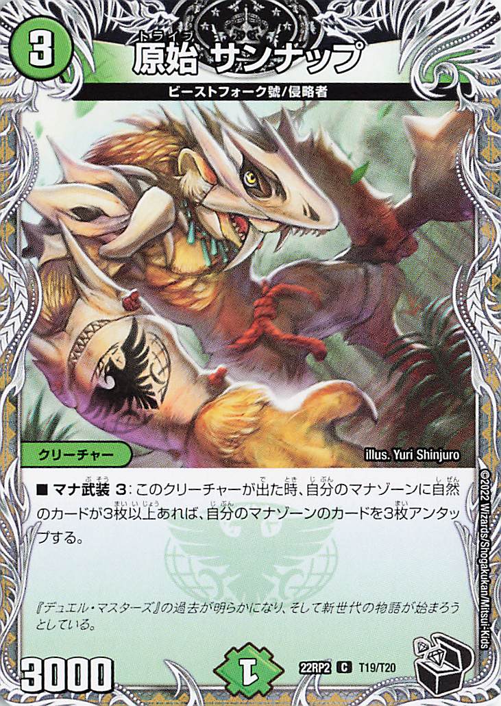 原始サンナップ【C】｛T19/T20｝［DM22RP2］