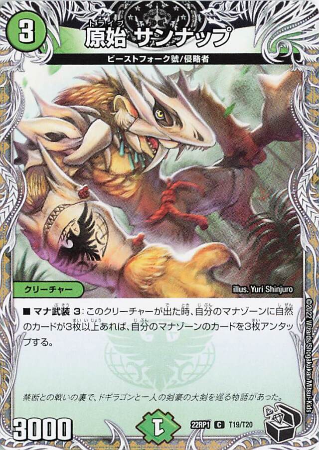 原始サンナップ【C】｛T19/T20｝［DM22RP1］