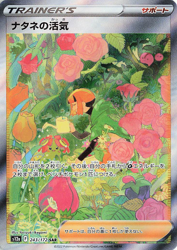 ナタネの活気【SAR】｛243/172｝［S12a］