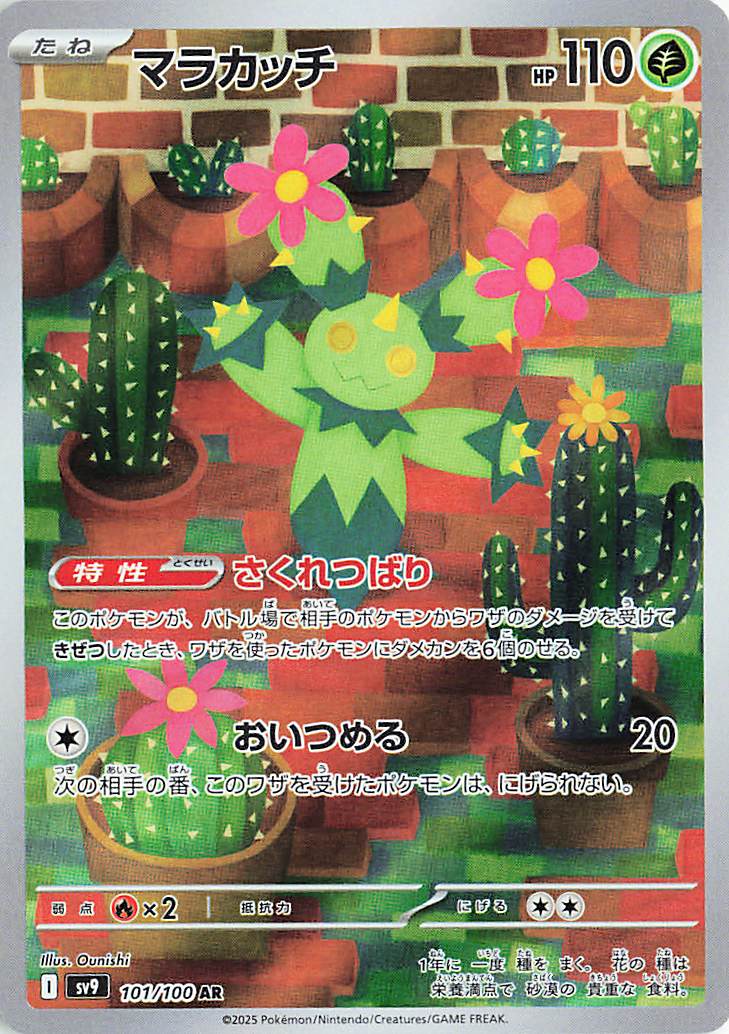 マラカッチ【AR】｛101/100｝［SV9］