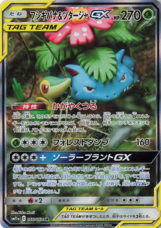 フシギバナ＆ツタージャGX（SA）【SR】｛066/064｝［SM11a］