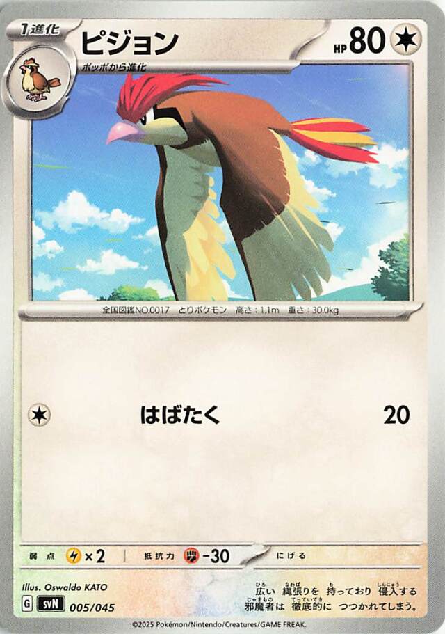 ピジョン【-】｛005/045｝［SVN］