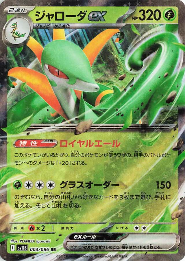 ブラックボルト　サーチ済み　100パック 拡張パック「ブラックボルト」「ホワイトフレア」｜ポケモン