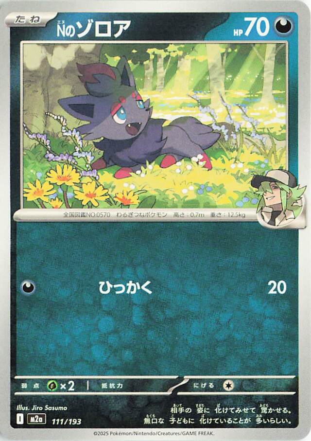 Nのゾロア【-】｛111/193｝［M2a］