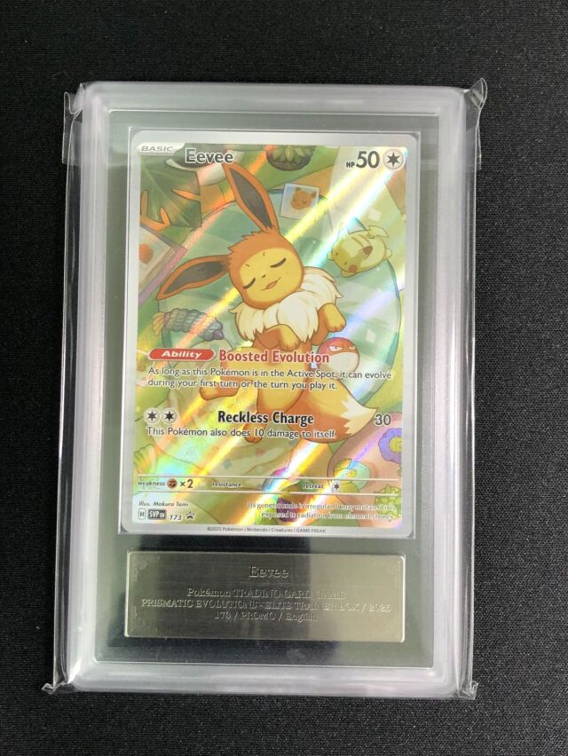 【ARS10】イーブイ（AR仕様／英語版）【P】｛173｝［SV-P］