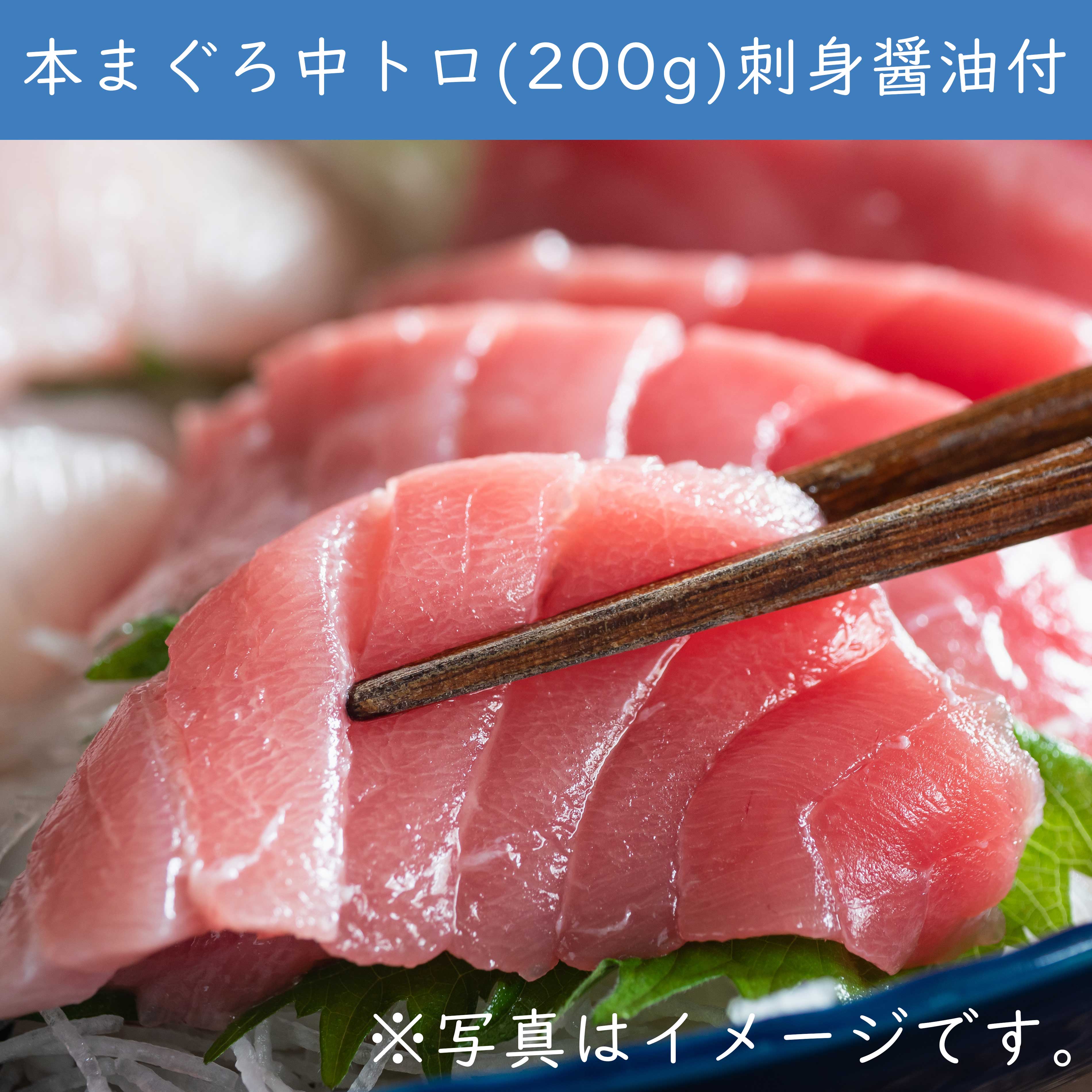 ギフト　送料無料　本まぐろ中トロ　約200ｇ　刺身用湯浅醤油付　クール冷凍便　※北海道・沖縄県は送料+1,200円