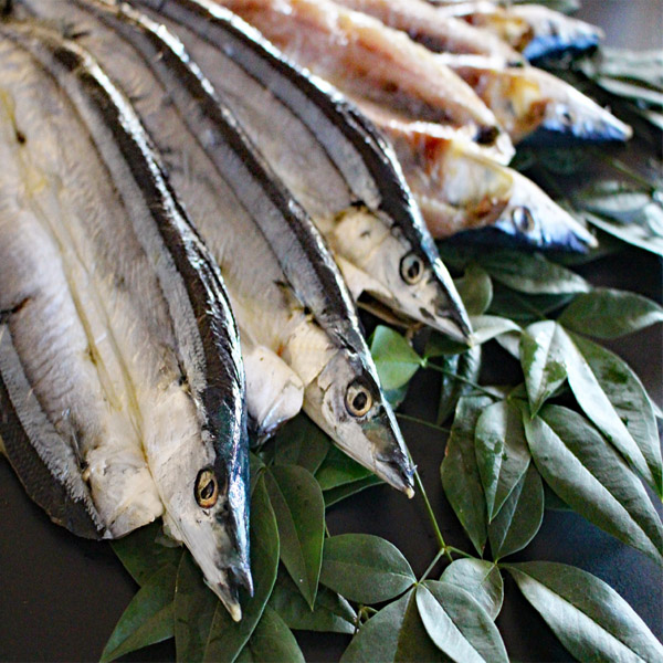 さんま‼️ 火山灰干し さんま 2枚 【冷凍】 - 島屋のネットショップ｜日本海