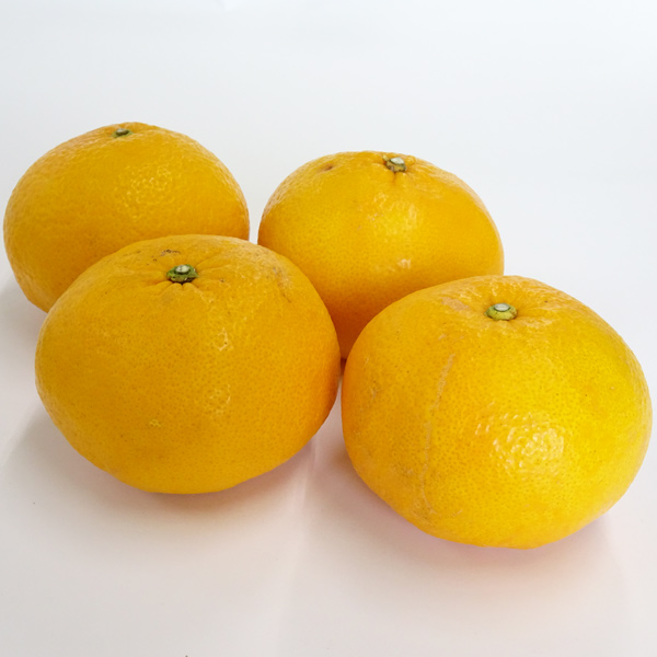 みかん屋の甘夏