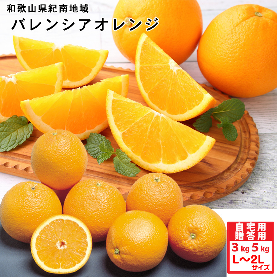 みかん屋のバレンシアオレンジ