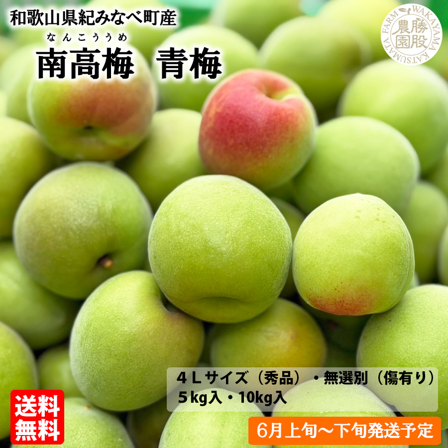 勝股農園_南高梅_青梅_トップ