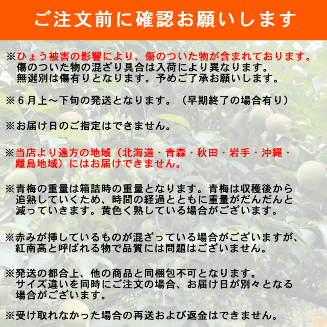 青梅_確認事項
