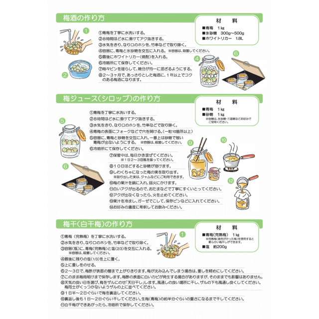 青梅_説明文