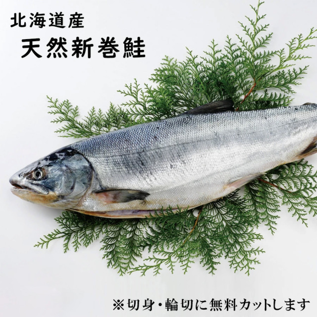 北海道産 天然新巻鮭（1尾約1.8kg）送料無料 冷凍便 ※北海道・沖縄県は