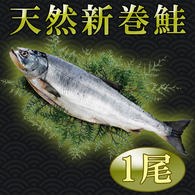 新巻鮭