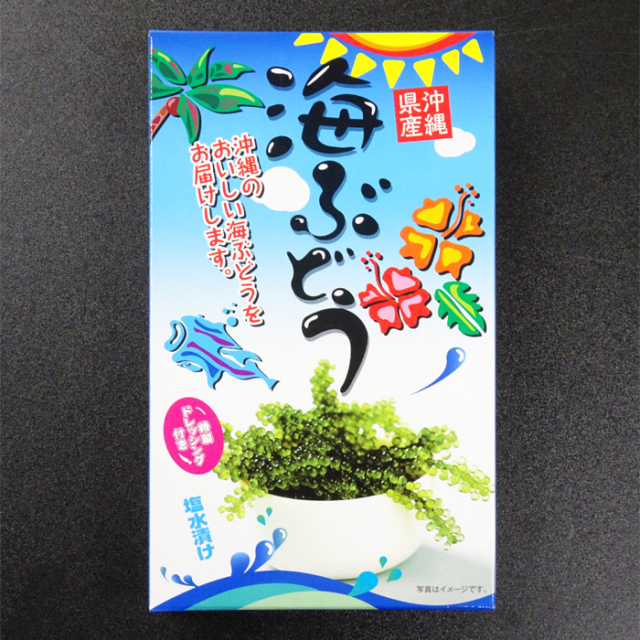 海ぶどう