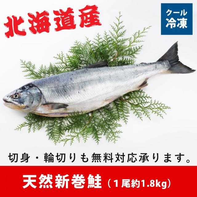 天然新巻鮭