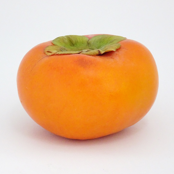 和歌山の富有柿