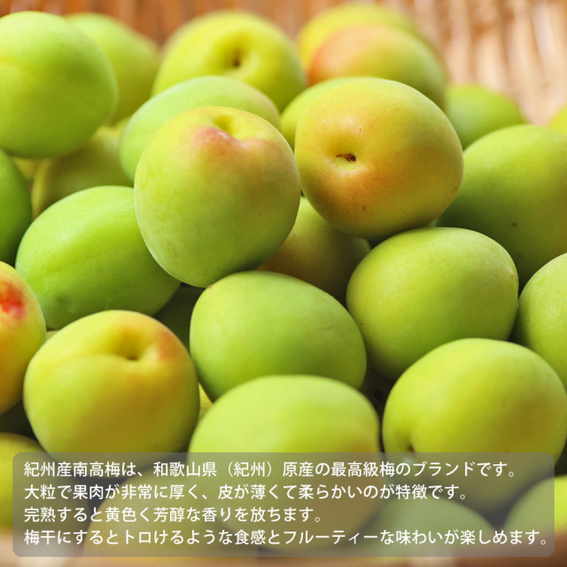 とれとれ市場オンラインショップ ｜ 紀州産南高梅（青梅） ※梅干・梅酒
