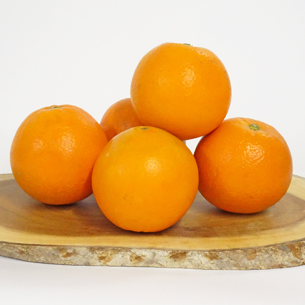 みかん屋のネーブルオレンジ