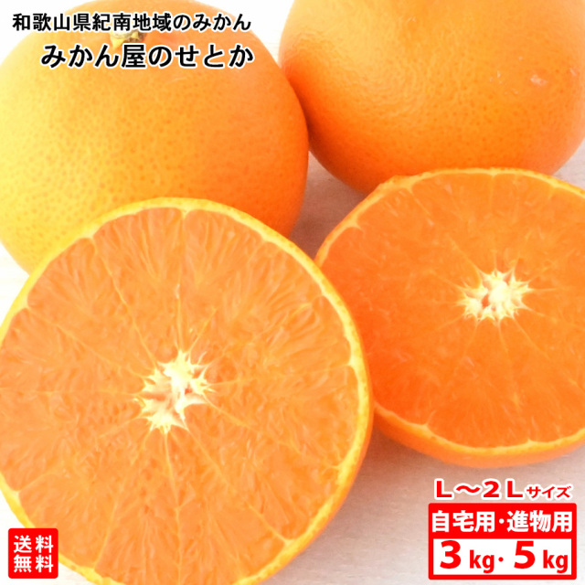 みかん屋のせとか