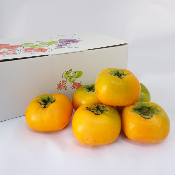 和歌山のたねなし柿