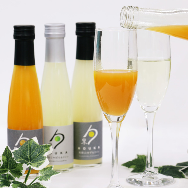 勹果　柑橘セット