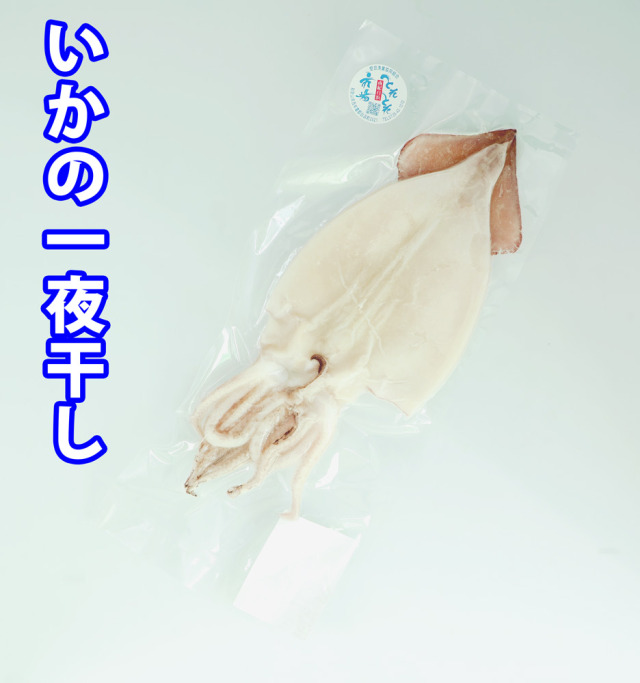 いか一夜干し