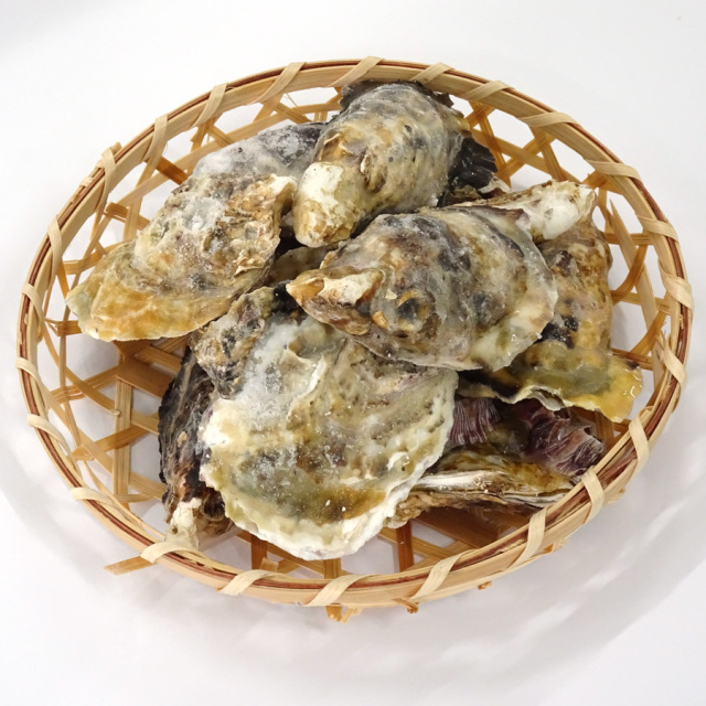 殻付き牡蠣