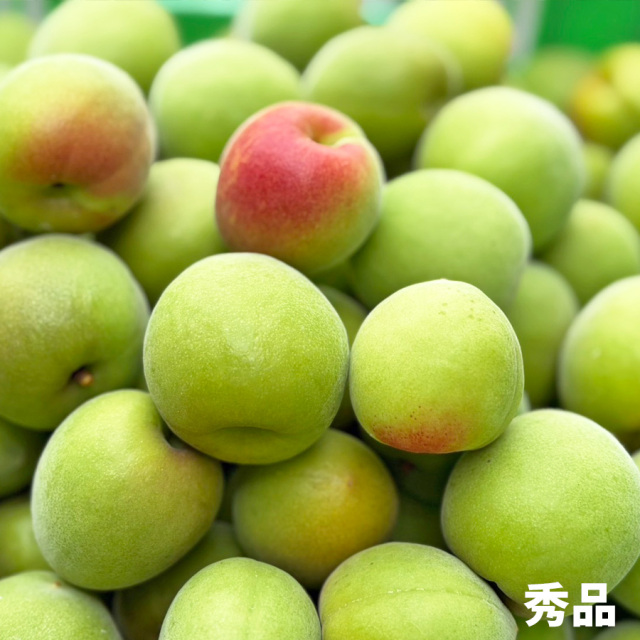 勝股農園_南高梅_青梅_秀品