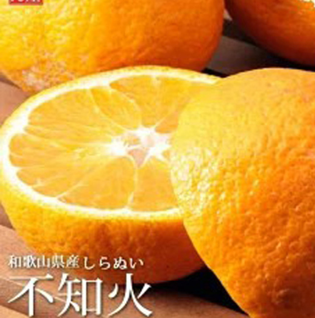 とれとれ市場オンラインショップ ｜ みかん屋が作る100％みかん