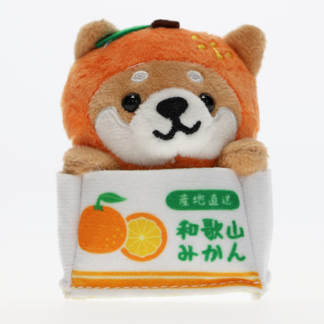 旅するマメしば_わかやまみかんバージョン