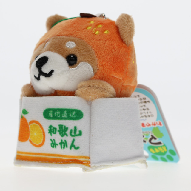 旅するマメしば_わかやまみかんバージョン